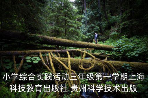 小學(xué)綜合實(shí)踐活動(dòng)三年級(jí)第一學(xué)期上海科技教育出版社 貴州科學(xué)技術(shù)出版