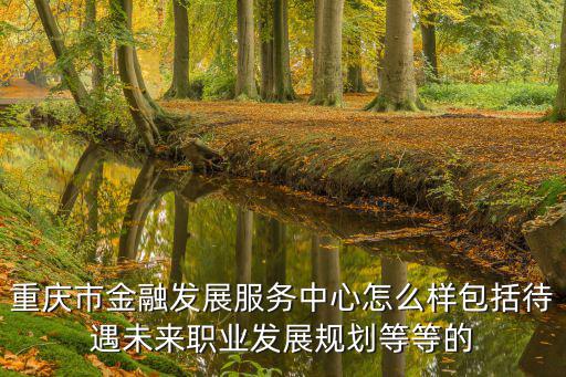 重慶市金融發(fā)展服務(wù)中心怎么樣包括待遇未來(lái)職業(yè)發(fā)展規(guī)劃等等的