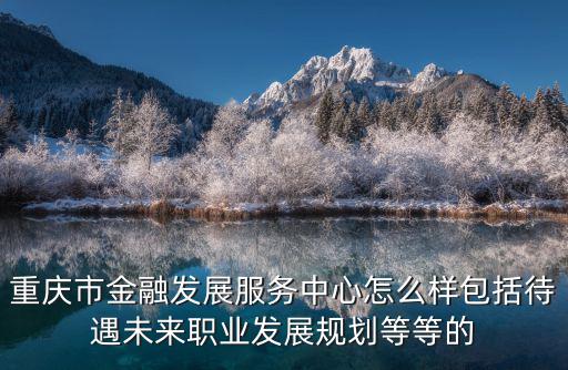 重慶市國家金融中心，重慶環(huán)球金融中心的地址