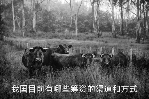 我國目前有哪些籌資的渠道和方式