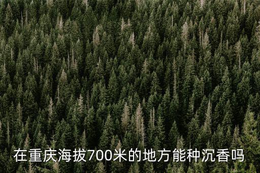 在重慶海拔700米的地方能種沉香嗎