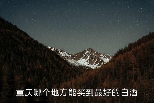 重慶哪個(gè)地方能買到最好的白酒