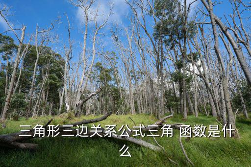  三角形三邊關系公式三角 函數是什么
