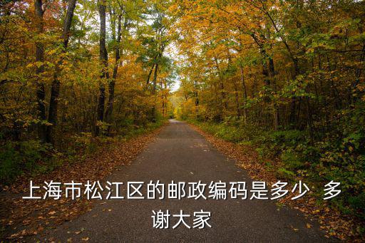 上海市松江區的郵政編碼是多少  多謝大家