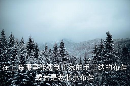 上海市桂平路188號b1，人民廣場去徐匯區桂平路188號最快乘車路線
