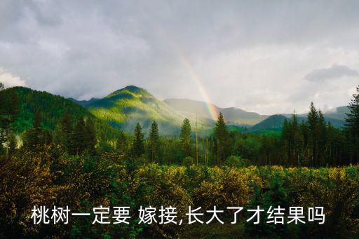 桃樹(shù)一定要 嫁接,長(zhǎng)大了才結(jié)果嗎