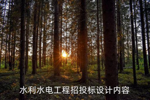 水利水電工程招投標設計內容