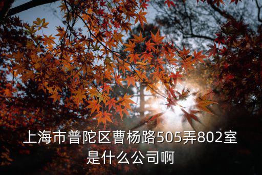 上海市普陀區曹楊路505弄802室是什么公司啊