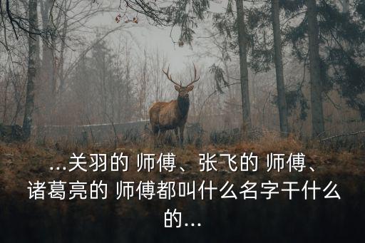 ...關(guān)羽的 師傅、張飛的 師傅、 諸葛亮的 師傅都叫什么名字干什么的...
