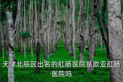 天津北辰區出名的肛腸醫院是歐亞肛腸醫院嗎