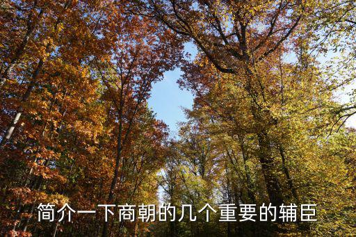 簡介一下商朝的幾個重要的輔臣