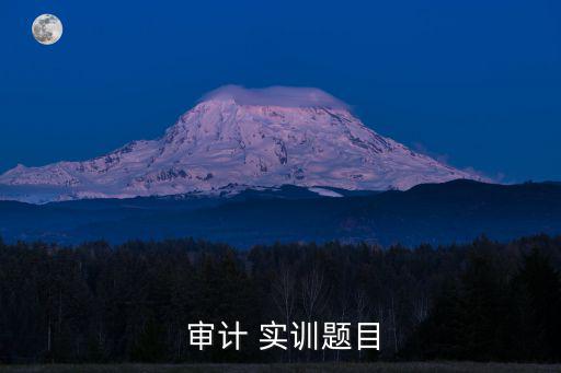 審計實訓(xùn),如何留在會計師事務(wù)所?需掌握哪些技能?