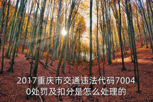 2017重慶市交通違法代碼70040處罰及扣分是怎么處理的