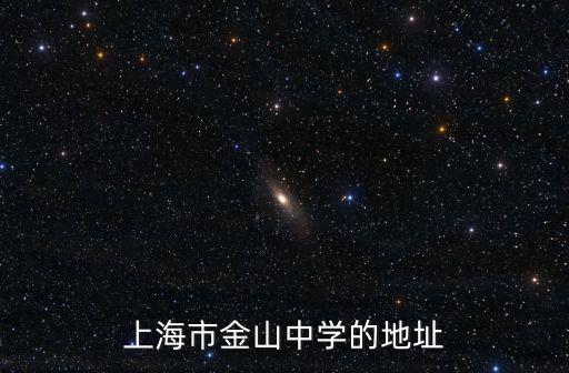 上海市金山中學的地址