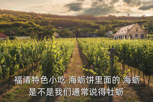  福清特色小吃 海蠣餅里面的 海蠣是不是我們通常說得牡蠣