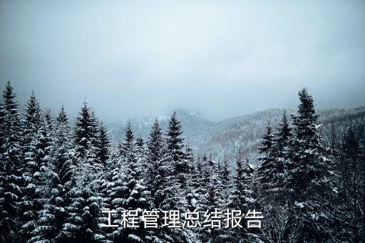 工程管理總結(jié)報(bào)告