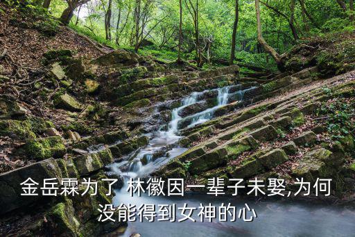 金岳霖為了 林徽因一輩子未娶,為何沒能得到女神的心