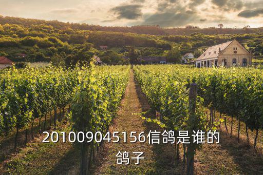 201009045156信鴿是誰的鴿子