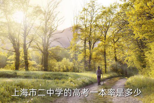 上海市二中學(xué)的高考一本率是多少