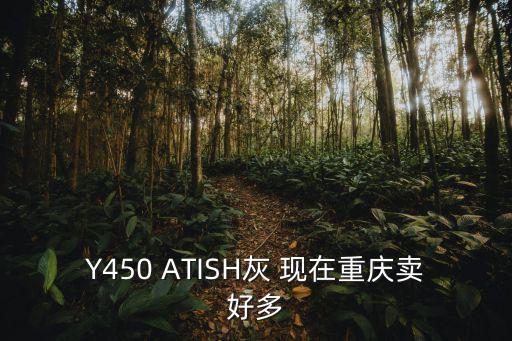 重慶市巴南溪山h樓盤，Y450 ATISH灰 現(xiàn)在重慶賣好多