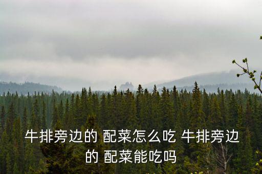  牛排旁邊的 配菜怎么吃 牛排旁邊的 配菜能吃嗎