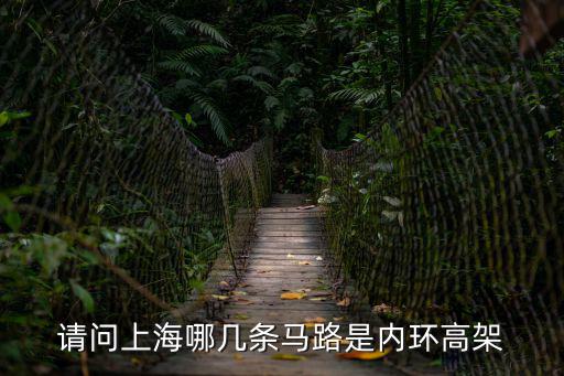 上海市內環高架路況，請問上海哪幾條馬路是內環高架