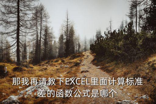 標準差公式excel，excel中標準差計算公式是什么