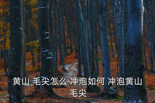 黃山 毛尖怎么 沖泡如何 沖泡黃山 毛尖