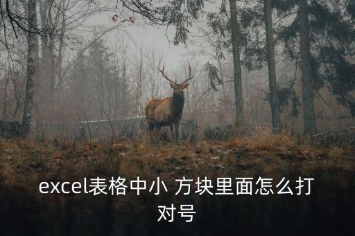 excel表格中小 方塊里面怎么打對號