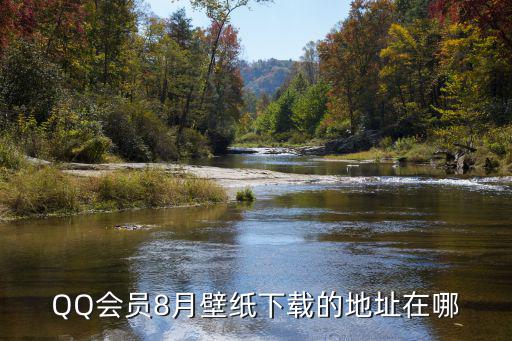 QQ會員8月壁紙下載的地址在哪
