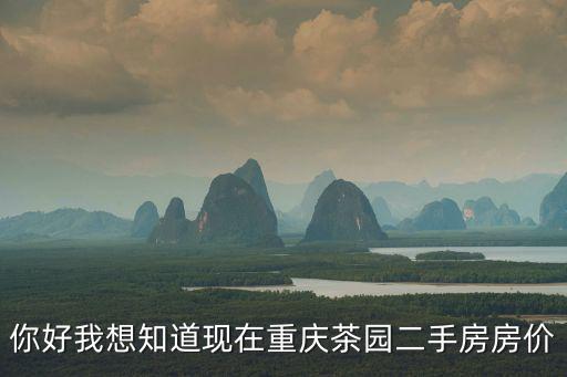 你好我想知道現在重慶茶園二手房房價