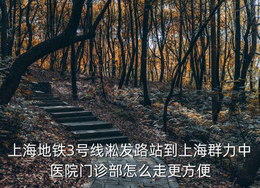 上海市群力中醫(yī)門診部地鐵，誰能知道從上海南站去群力門診什么走