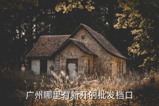 廣州哪里有新開的批發檔口