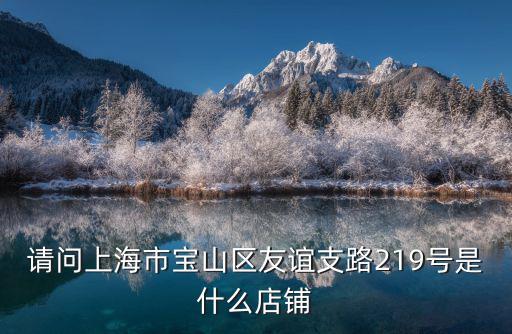 請問上海市寶山區(qū)友誼支路219號是什么店鋪