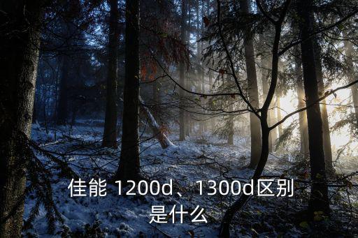 佳能1200d,佳能1200d和1300d