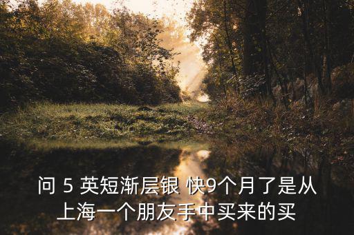 問(wèn) 5 英短漸層銀 快9個(gè)月了是從上海一個(gè)朋友手中買來(lái)的買