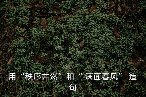 用“秩序井然”和“ 滿面春風” 造句