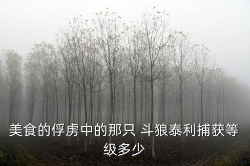 斗狼,我個人認為斗狼應該成為美食界終極boss!