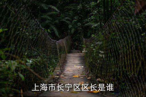 上海市長寧區(qū)區(qū)長是誰
