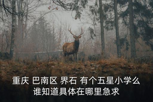 重慶市巴南區(qū)光輝鎮(zhèn)臨江村，請問誰知道重慶巴南區(qū)特殊學校聾啞人學校的詳細地址