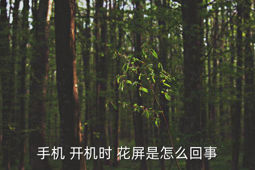 手機 開機時 花屏是怎么回事