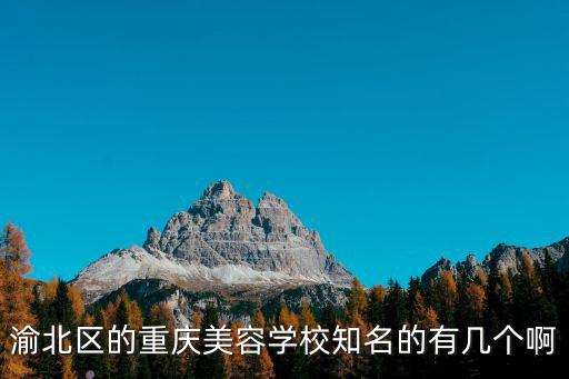 渝北區的重慶美容學校知名的有幾個啊