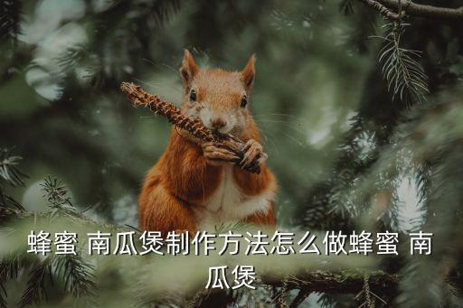 蜂蜜 南瓜煲制作方法怎么做蜂蜜 南瓜煲