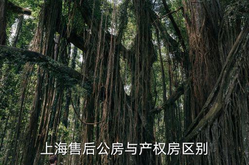 上海售后公房與產權房區別