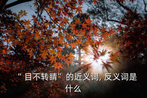 “ 目不轉(zhuǎn)睛”的近義詞, 反義詞是什么