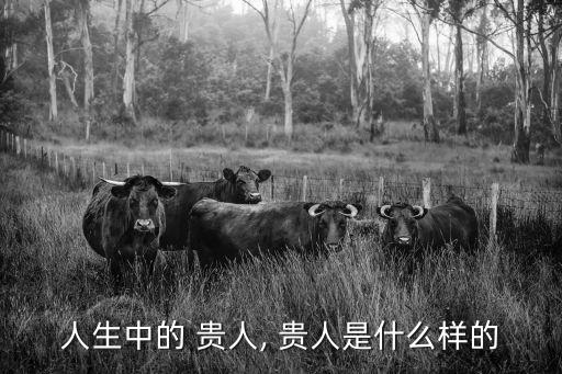 人生中的 貴人, 貴人是什么樣的