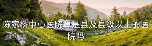 上海市遵義路陳家橋衛生服務中心，陳家橋中心醫院算是縣及縣級以上的醫院嗎