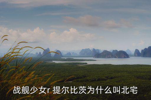 提爾皮茨,戰(zhàn)艦世界:提爾皮茨是個有精神的bb