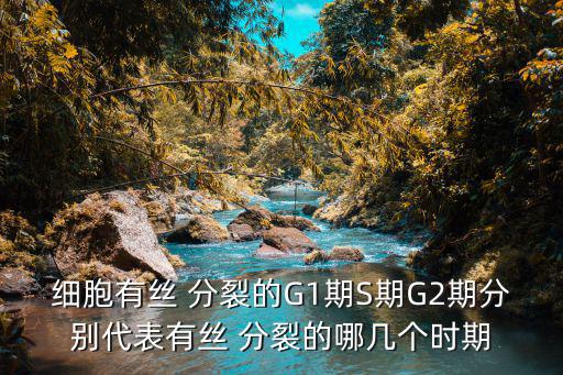 細胞有絲 分裂的G1期S期G2期分別代表有絲 分裂的哪幾個時期