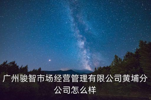 廣州駿智市場經營管理有限公司黃埔分公司怎么樣